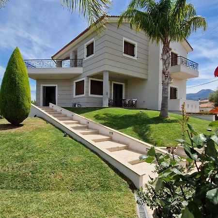 איגיו Dimitris Villa מראה חיצוני תמונה
